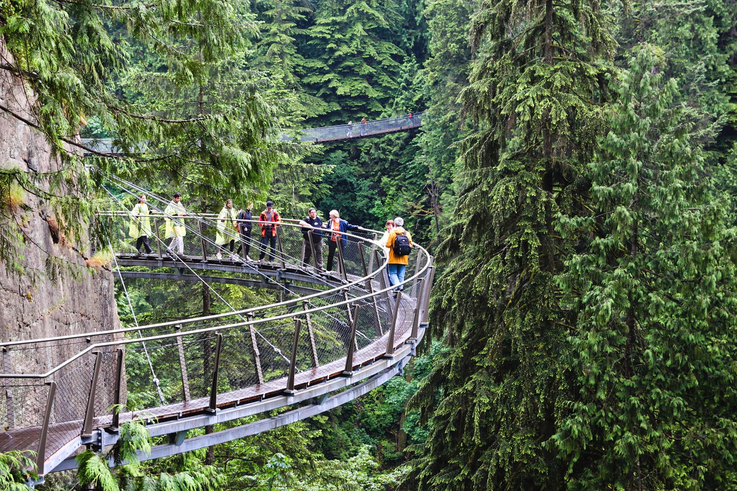 Vancouver Capilano Suspension Bridge RONNIE CHUA SHUTTERSTOCK THE - photo 5