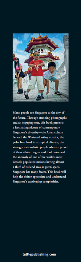 David Blocksidge - Journey Through Singapore: A Captivating Portrait of Singapore - from Marina Bay to Changi Airport