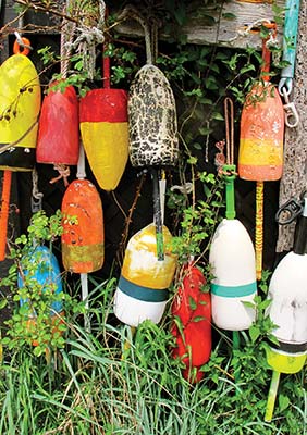 colorful buoys foliage along the Black Woods Scenic Byway Robinson - photo 10