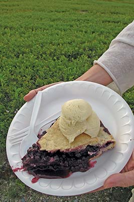 wild blueberry pie snowshoeing on the Maine Huts and Trails Southern - photo 17