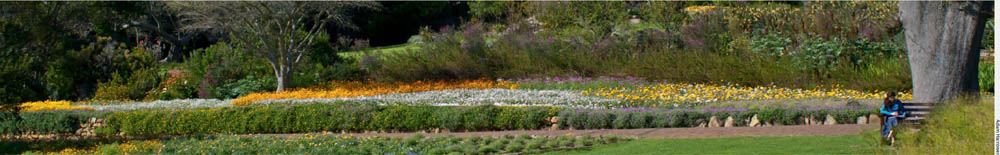 The history of Kirstenbosch is characterised by the passionate support and - photo 6