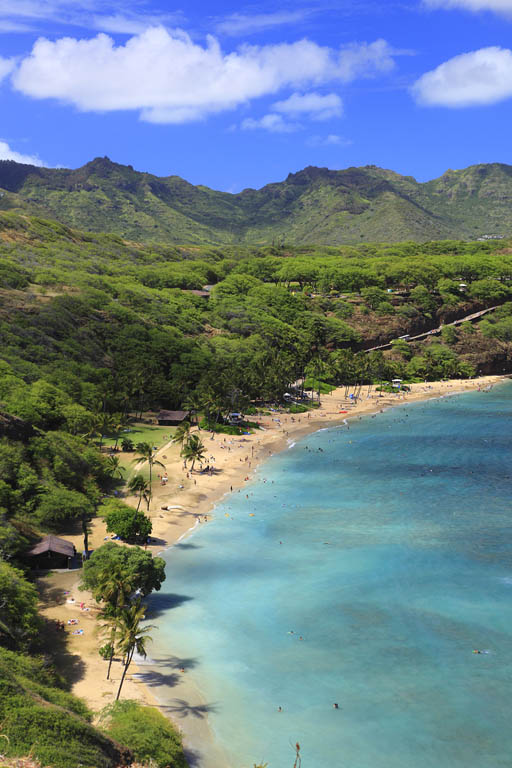 Hanuama Bay JTB PhotoGetty Images Why I Love Honolulu Waikiki Oahu By - photo 8