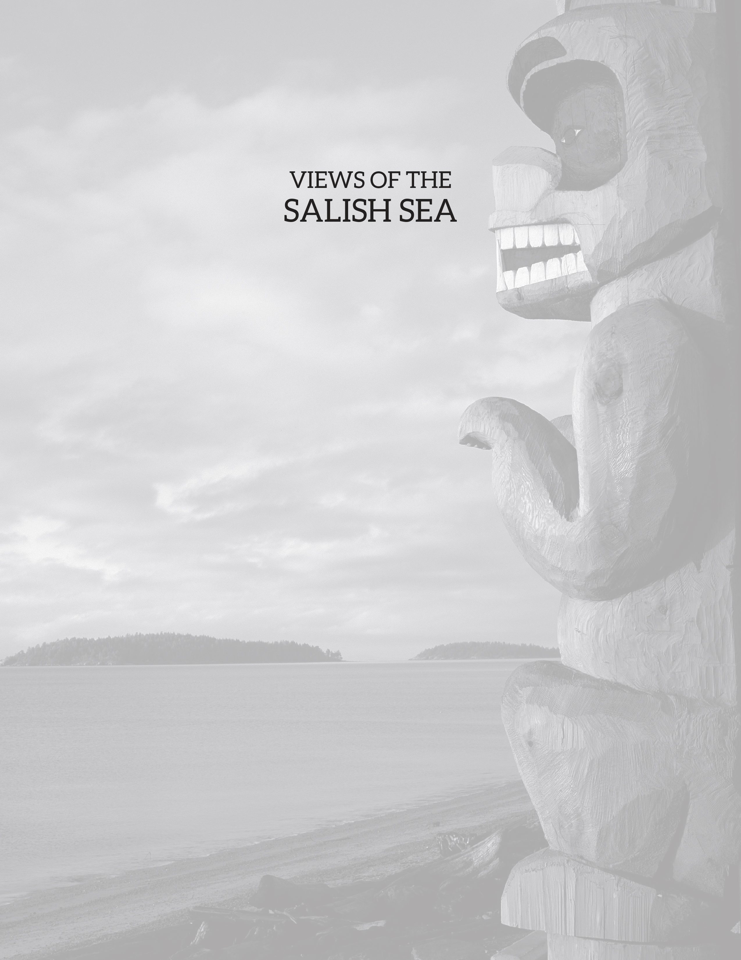 Half title page A Sechelt totem bear stands guard over the Strait with the - photo 2