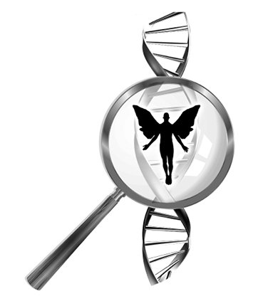 noun Quantum Biology - Metaphysics deoxyribonucleic acid the double helix - photo 3