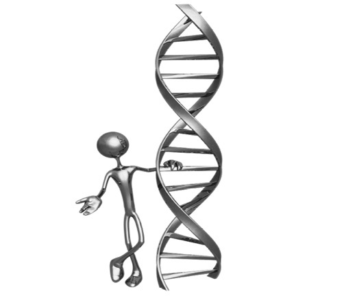 noun Quantum Biology - Metaphysics deoxyribonucleic acid the double helix - photo 4