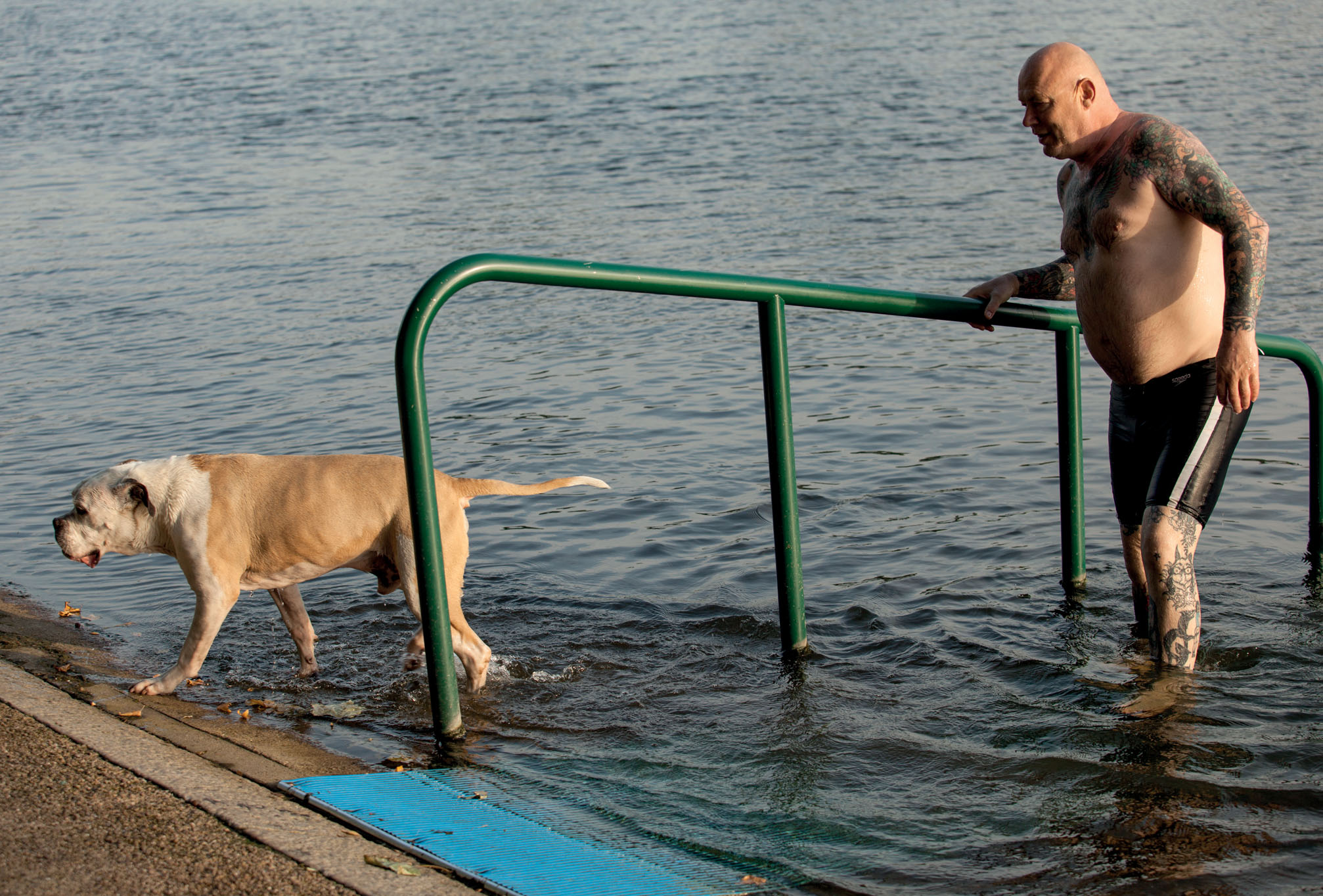 Swimming in the Serpentine is a London institution and has been since 1730 - photo 7