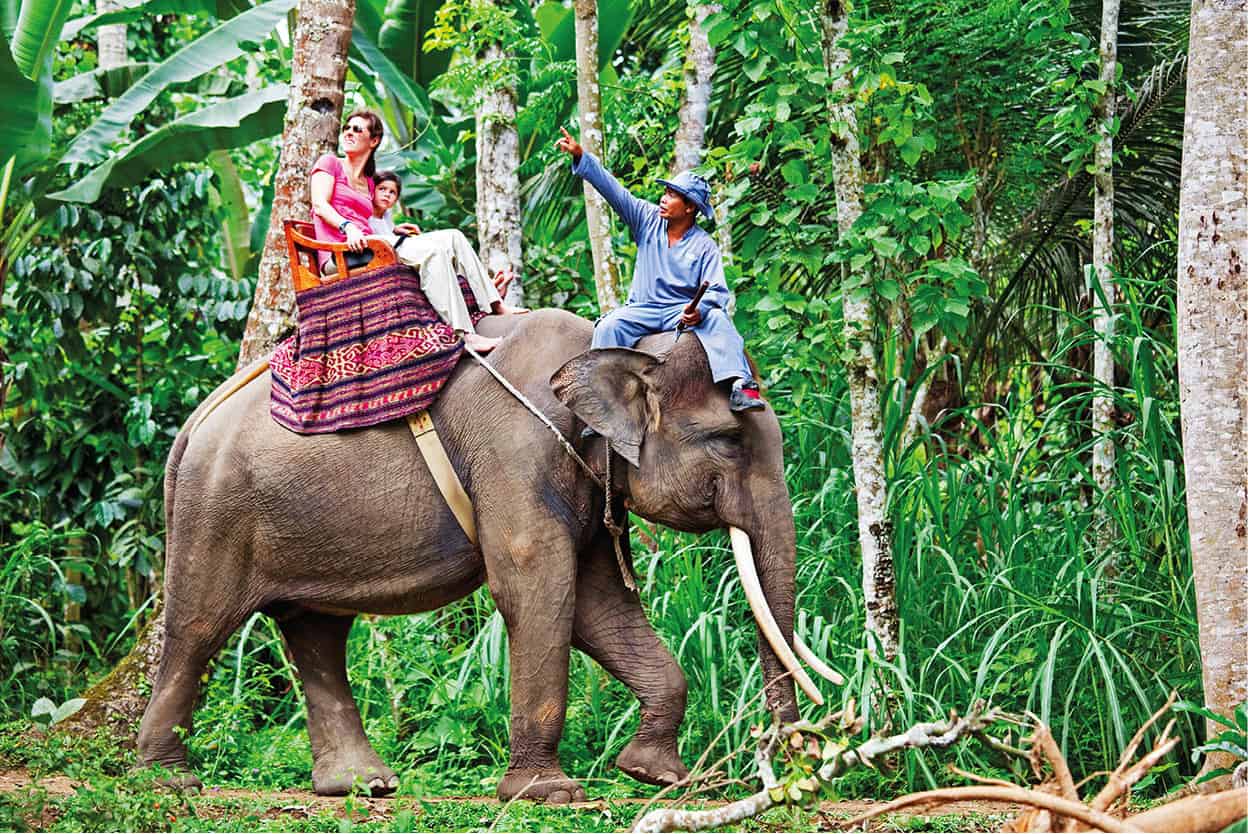 Elephant Safari Park Children will have the opportunity to hand-feed these - photo 4