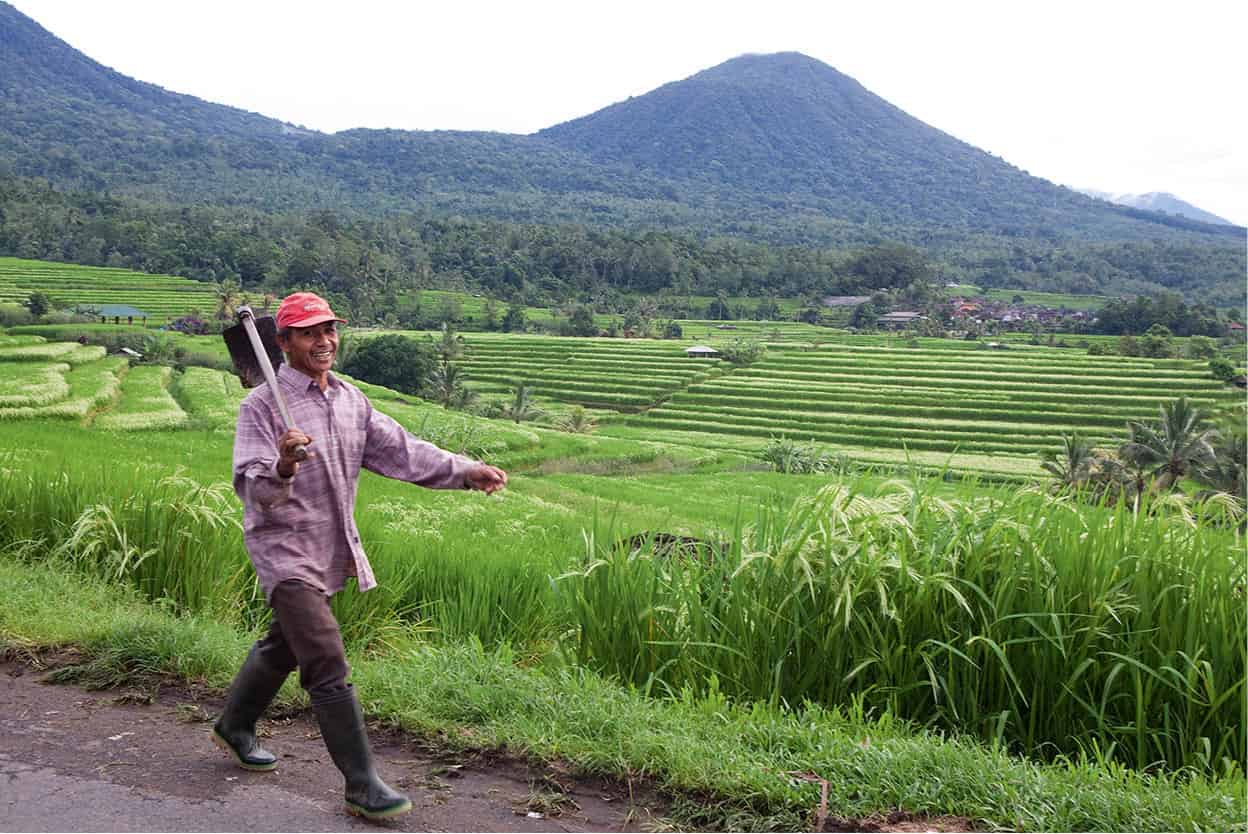 Jatiluwih A landscape of endless sculpted rice terraces against a mountain - photo 7