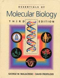 title Essentials of Molecular Biology author Malacinski George - photo 1