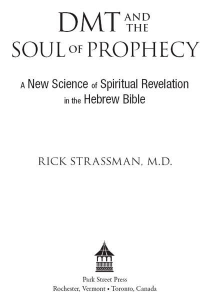 DMT and the Soul of Prophecy - image 1