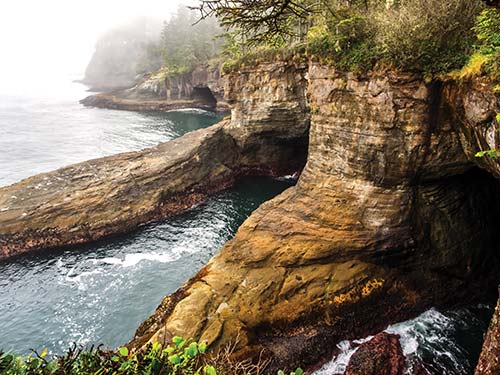 Cape Flattery This is a place where the calendar might say summer has already - photo 13