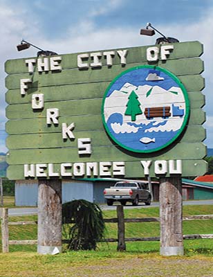 Forks welcome sign starfish in a tidal pool - photo 15