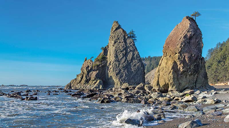 Rialto Beach Tidepools sea stacks and miles of walkable shoreline define - photo 19