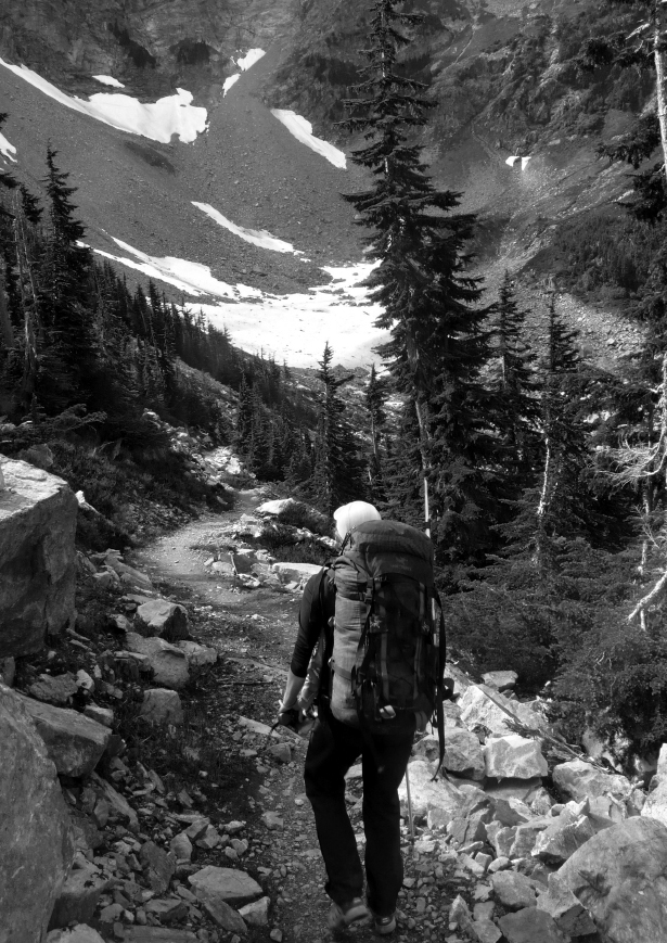 Day Section Hikes Pacific Crest Trail Washington 1st EDITION 2010 Copyright - photo 3