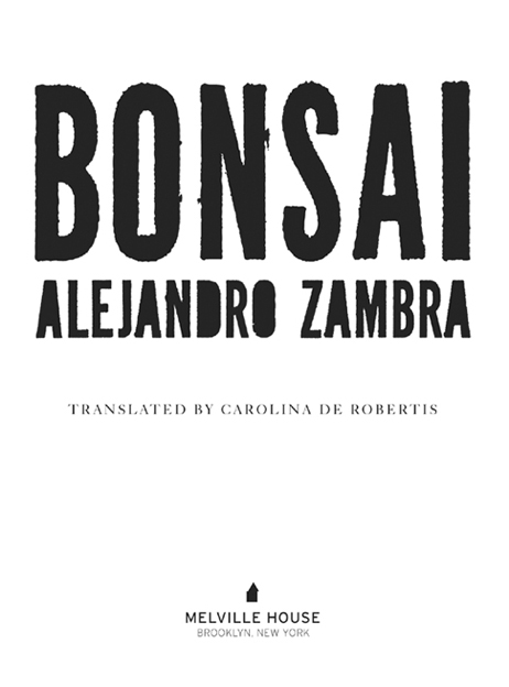 First published in Spanish as Bonsi Anagrama Copyright Alejandro Zambra - photo 1