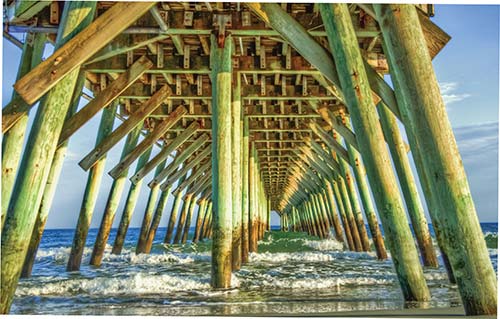 under the Myrtle Beach pier Locals and visitors alike also enjoy the fruits of - photo 12