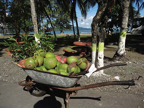 beach town abundance on the Caribbean Coast - photo 10