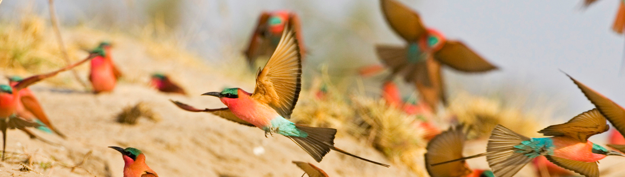 INTRODUCTION TO NAMIBIA A vast land of mesmerizing landscapes abundant - photo 4