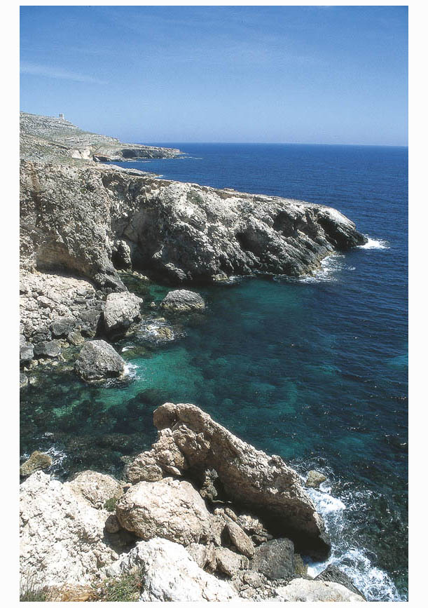 Looking along the rough and rocky coast from near Gar Lapsi Walk 5 Geology - photo 6