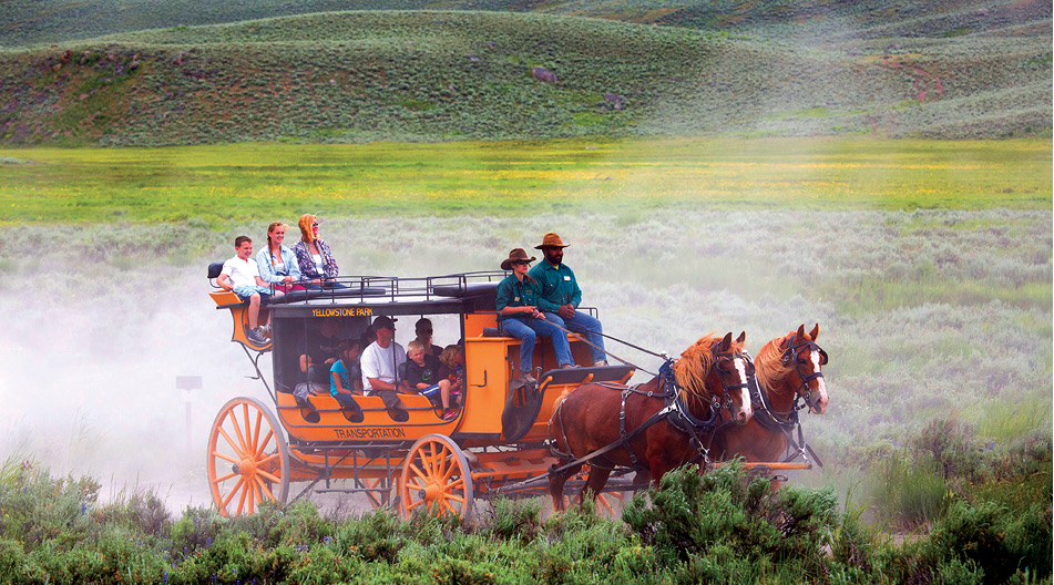 A corral near the Roosevelt Lodge Cabins offers stagecoach rides horseback - photo 12