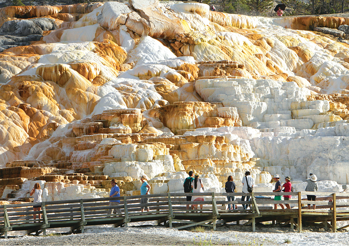 Palette Spring at Mammoth Hot Springs Mammoth is a constantly shifting - photo 15