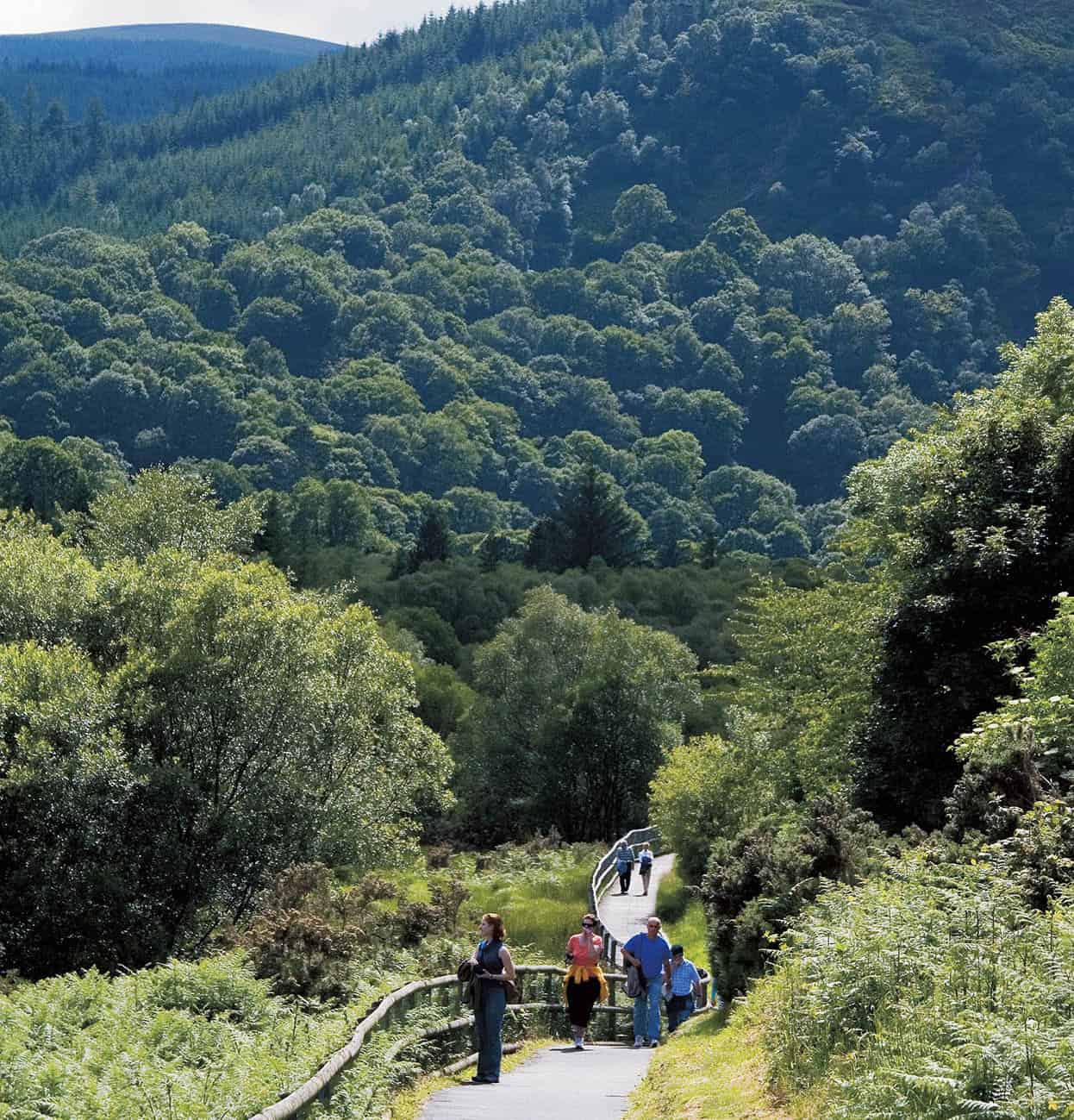 Walkers Walk across heathery hills on the Dingle Peninsula Corrie - photo 11