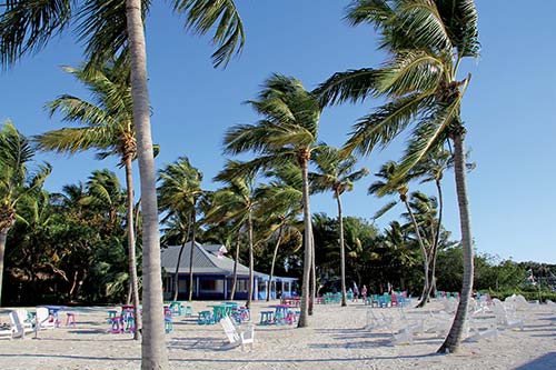 Morada Bay Beach Caf on Islamorada For even more animal sightings continue - photo 11