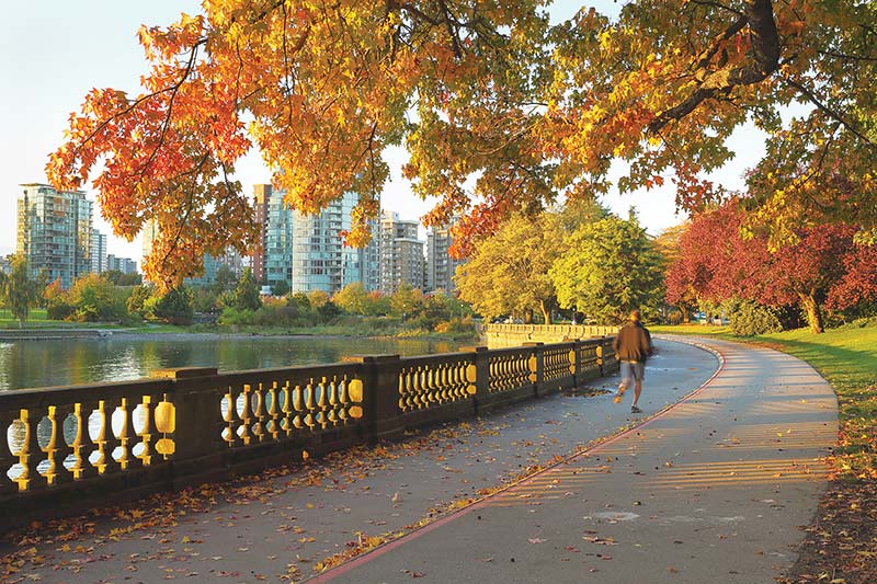 Stanley Park The rainforest meets the city in this 1000-acre parkland which - photo 10