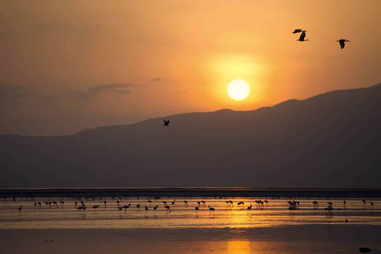 Lake Natron and Ol Doinyo Lengai Bordering Kenya Natron is the largest and - photo 12