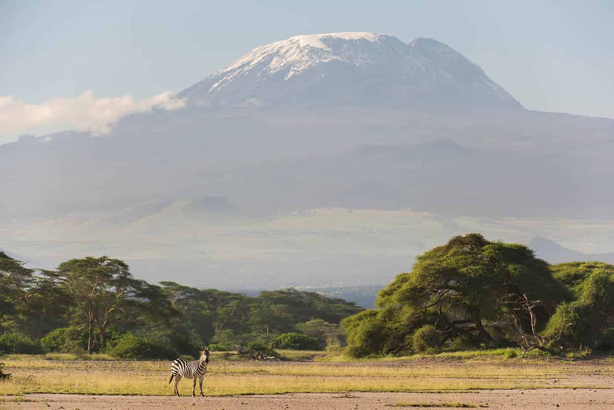 Mount Kilimanjaro The worlds tallest free-standing mountain and the highest - photo 6