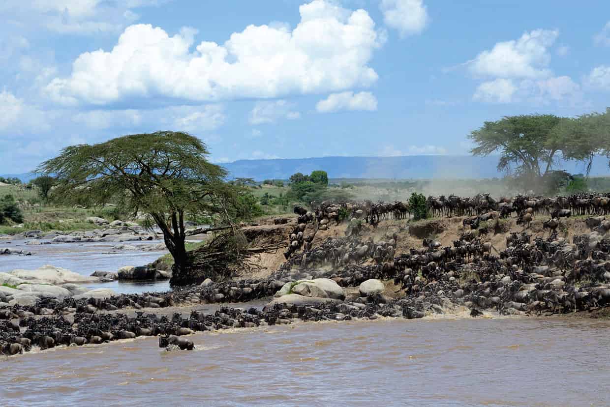 Serengeti National Park Arguably East Africas finest game reserve this is the - photo 4