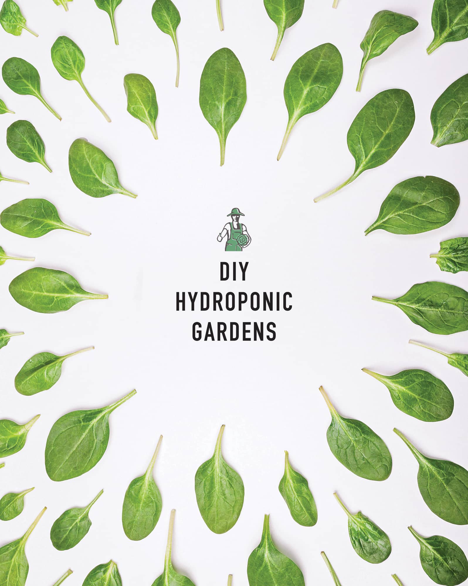 INTRODUCTION THIS BOOK MAKES HYDROPONICS ACCESSIBLE to gardeners of any - photo 2