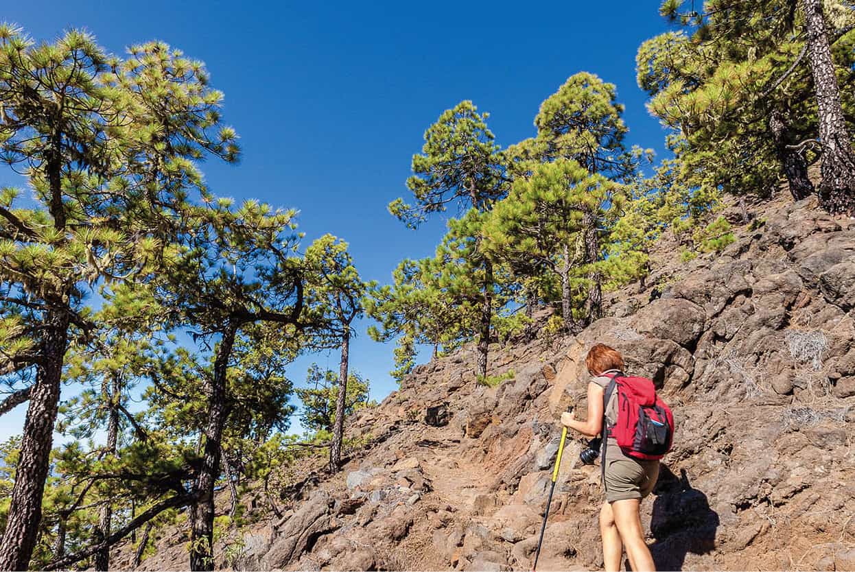 Top Attraction 2 iStock La Palma A verdant island with some great walking For - photo 5