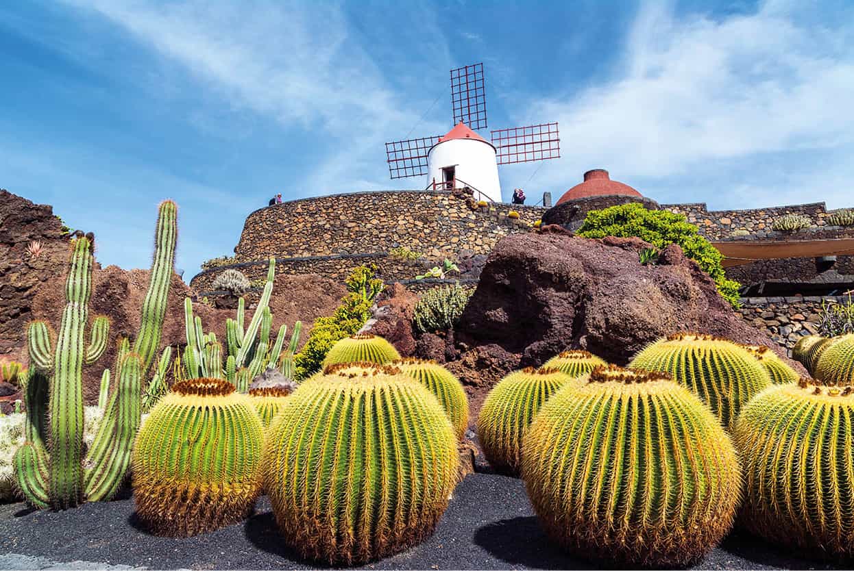 Top Attraction 1 Shutterstock Jardn de Cactus A Csar Manrique creation on - photo 4