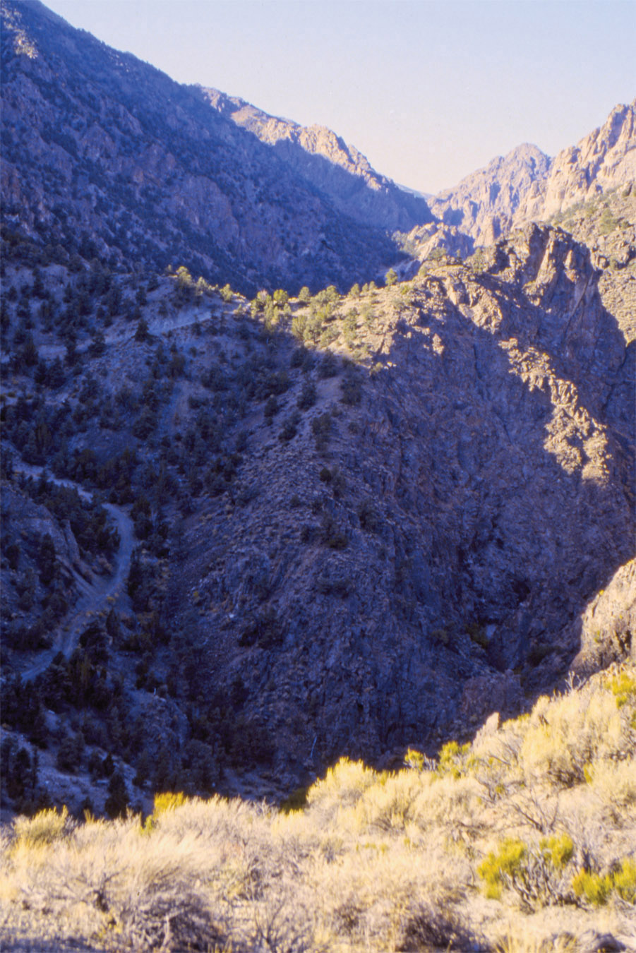 BEFORE YOU HIT THE TRAIL The Silver State has a wild and diverse backcountry - photo 3