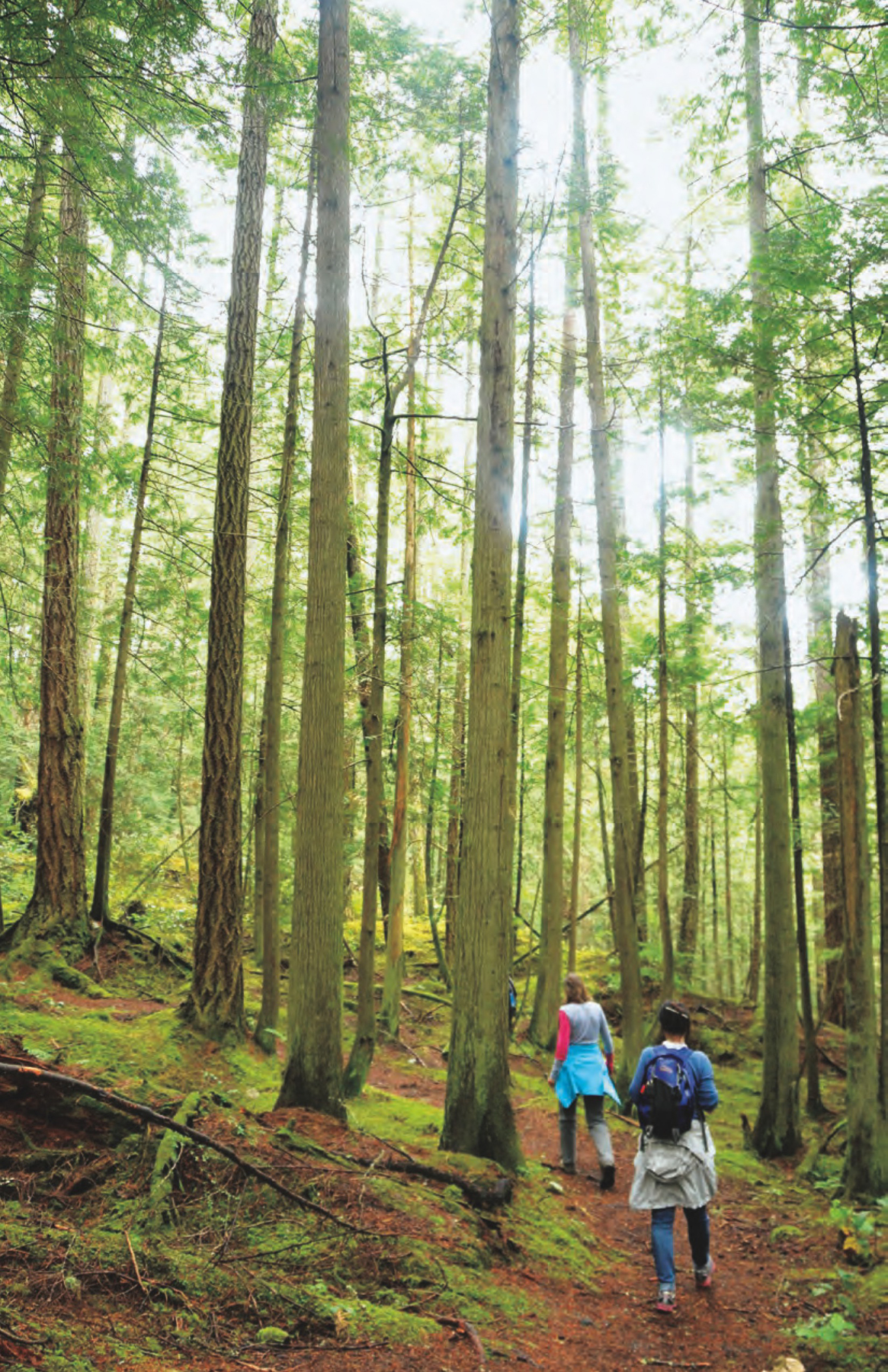 Spring hike on the Triangle Lake Trail FOREWORD by TuyttanatCease Wyss - photo 7