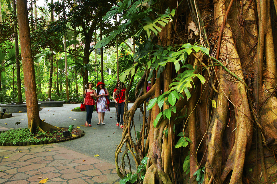 FEARGUS COONEYGETTY IMAGES Singapore Top Sights National Museum of - photo 8