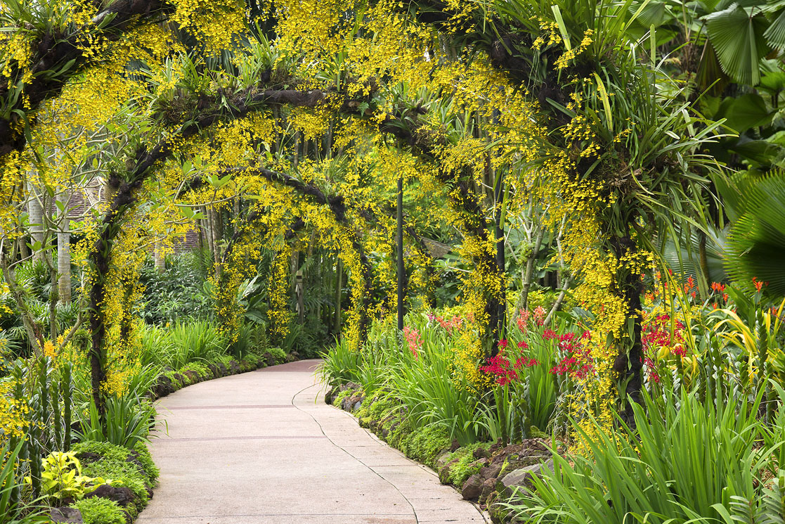 Singapore Botanic Garden JANELLE LUGGESHUTTERSTOCK Shophouse facade - photo 8