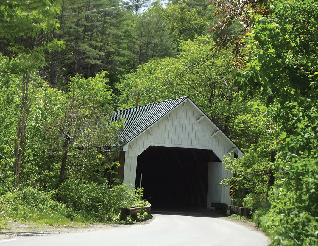 WILLIAMSVILLE BRIDGE The drives we describe are predominantly paved and the - photo 4