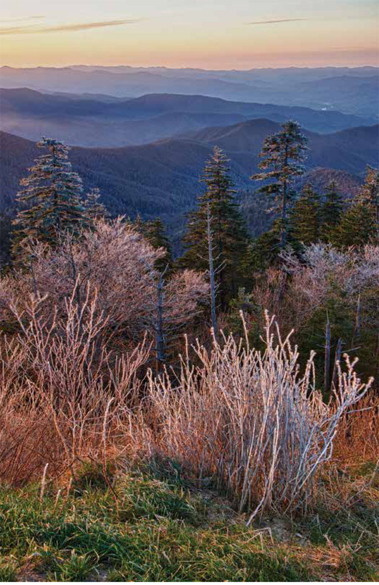 Clingmans Dome A spur of Newfound Gap Road is the skyway to Clingmans Dome - photo 6