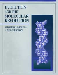 title Evolution and the Molecular Revolution author Marshall - photo 1