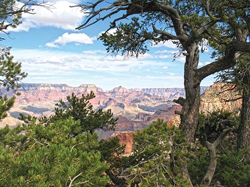 Mather Point on the South Rim Its not hard to see why over 5 million people - photo 8