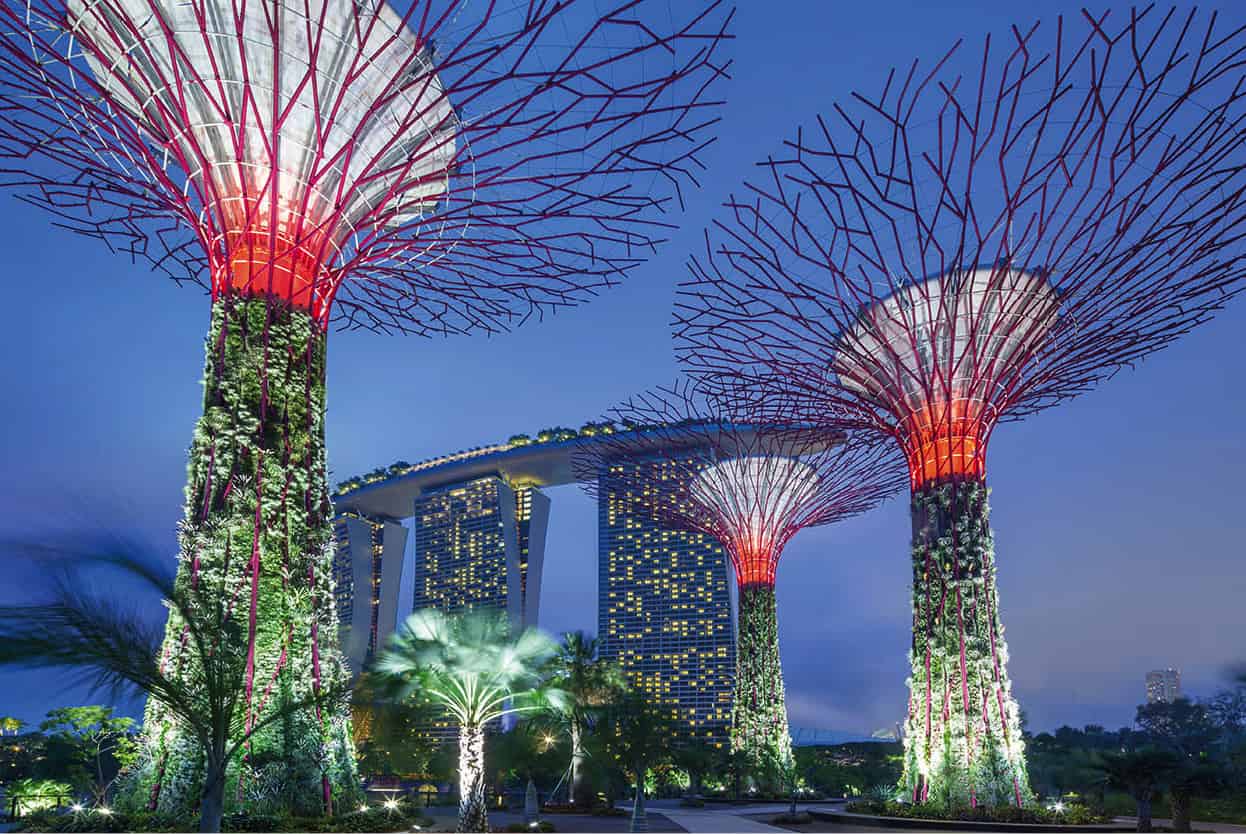 Top Attraction 6 Gardens by the Bay Gardens by the Bay This spectacular green - photo 9