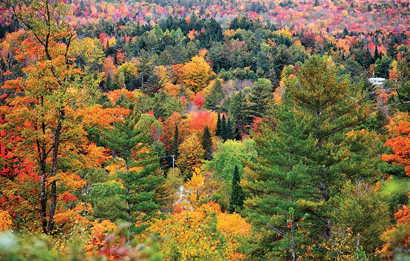 Fall Foliage The changing colors spread from north to south chase them from - photo 13