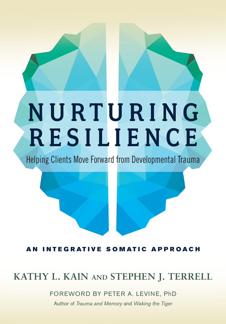 Praise for Nurturing Resilience In this well-written and researched book the - photo 1