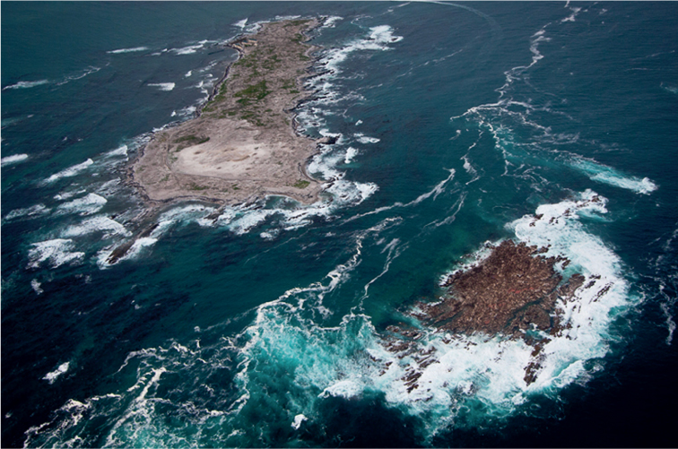 Shark Alley flows between Dyer Island and Geyser Rock Nicoles incredible - photo 3