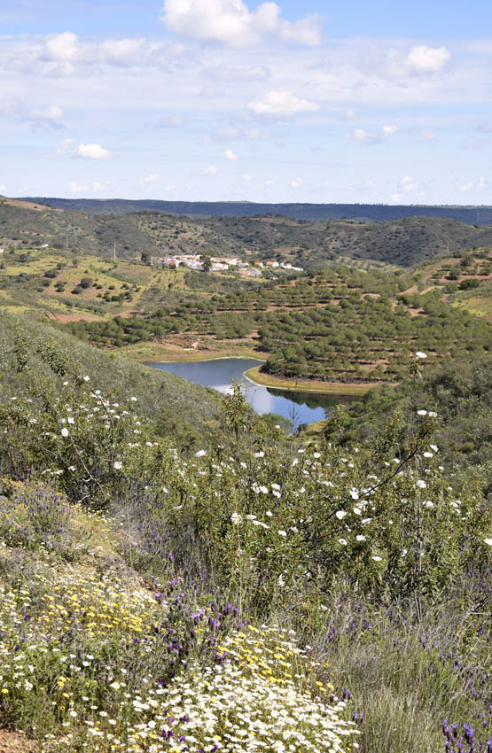 A typical inland landscape of southern Portugal with rock roses lavender and - photo 7