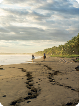 A beacon of neutral democratic ideals Costa Rica stands - photo 3