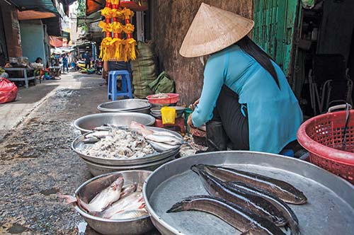 vendor selling fresh fish Hidden farther down the citys many alleys is another - photo 11