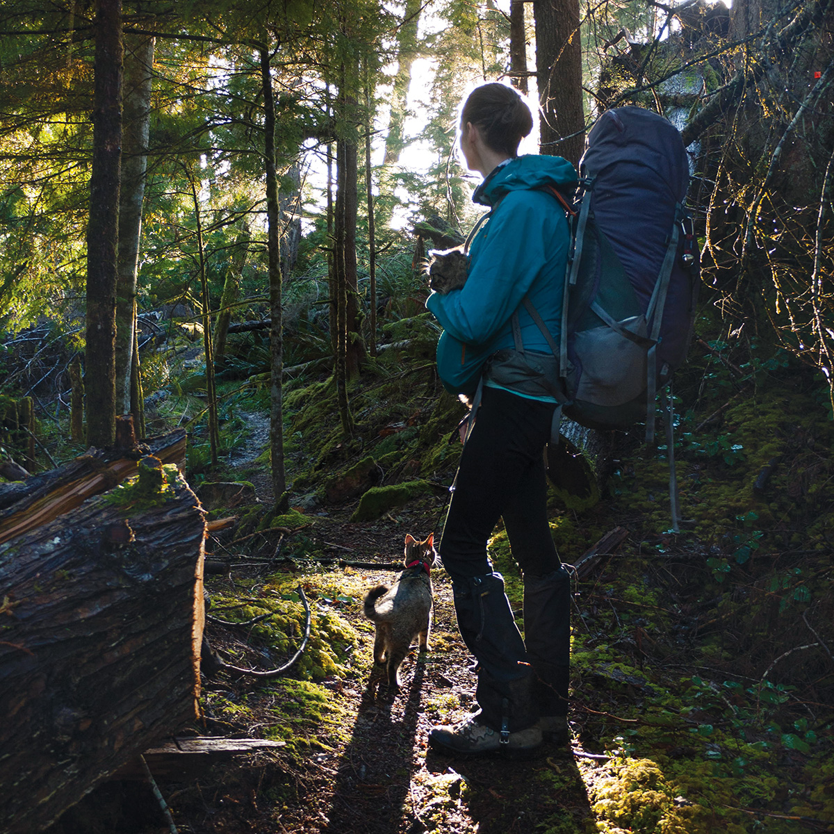 SUNSHINE COAST TRAIL BC The Sunshine Coast Trail stretches 100 miles Bolt and - photo 17